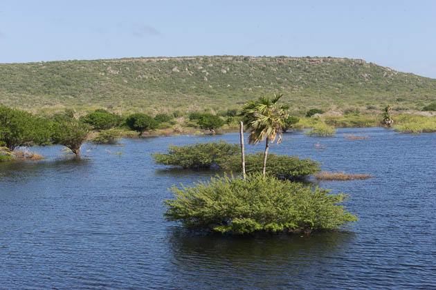 Read more about the article The Badlands of Curaçao