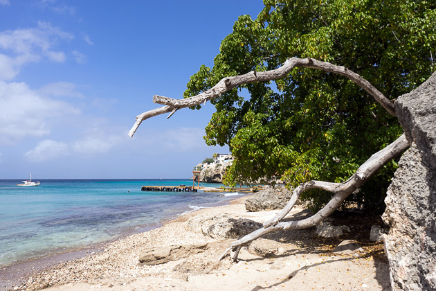 Read more about the article The Sea Turtles of Playa Piskado