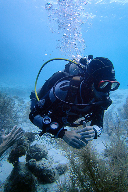 Read more about the article Diving at Directorsbaai and Double Reef