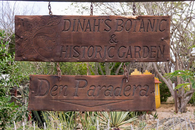 Read more about the article Den Paradera of Dinah Veeris