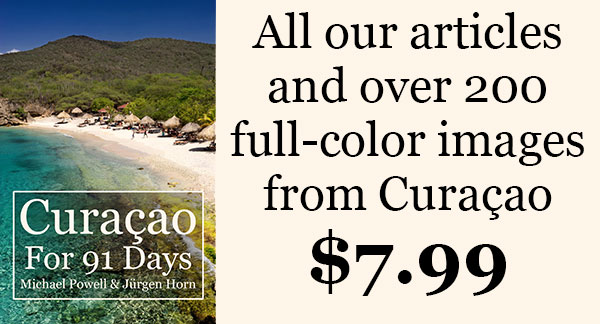 Read more about the article Curaçao For 91 Days – The E-Book